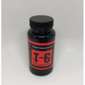 T6 Zion Labs - FATBURNER  | 60caps